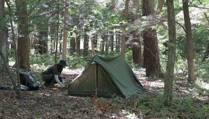 フローラキャンプサイトひなた森自然林キャンプエリア